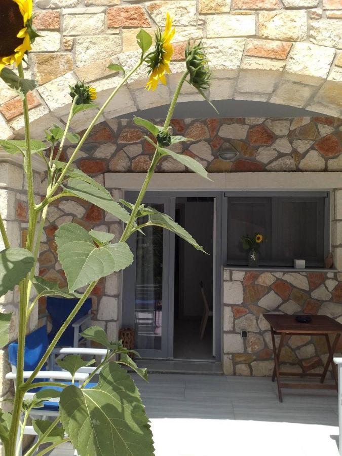 Golden Dolphin Studios & Apartments Alykes  Dış mekan fotoğraf